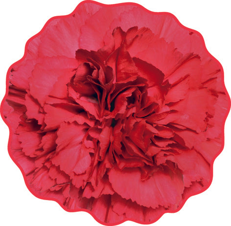 Red Carnation Flower Realistic Motif Towel