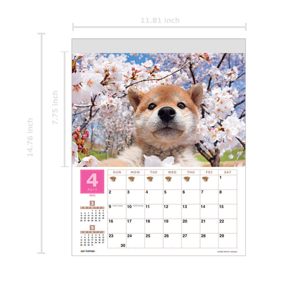 Shiba Inu Wall Calendar 2023