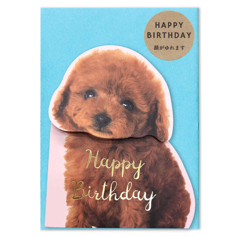 Bobble Toy Poodle Happy Birthday Greeting Card with a Blue Envelope