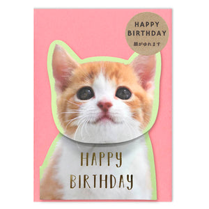 Bobble Head Cat Happy Birthday Greeting Card with a Pink Colored Envelope