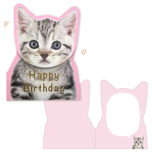 Bobble Head Cat Happy Birthday Greeting Card with a Green Colored Envelope