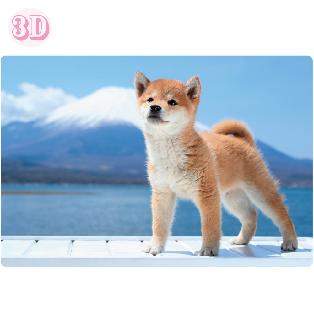 3D Post Card Shiba Inu