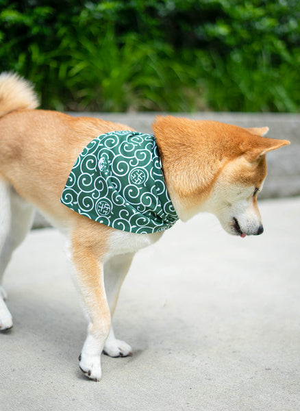 Shiba Inu Dog Bandana Green Karakusa with Kawaii Shibaken Logos & "Shiba" Kanji Logos One-sided Print