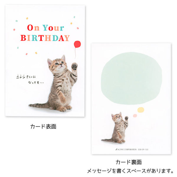 Kitty Cat Pop Up Birthday Card with Unique Message "Your Shining Smile is Meowtastic (Fantastic)!"