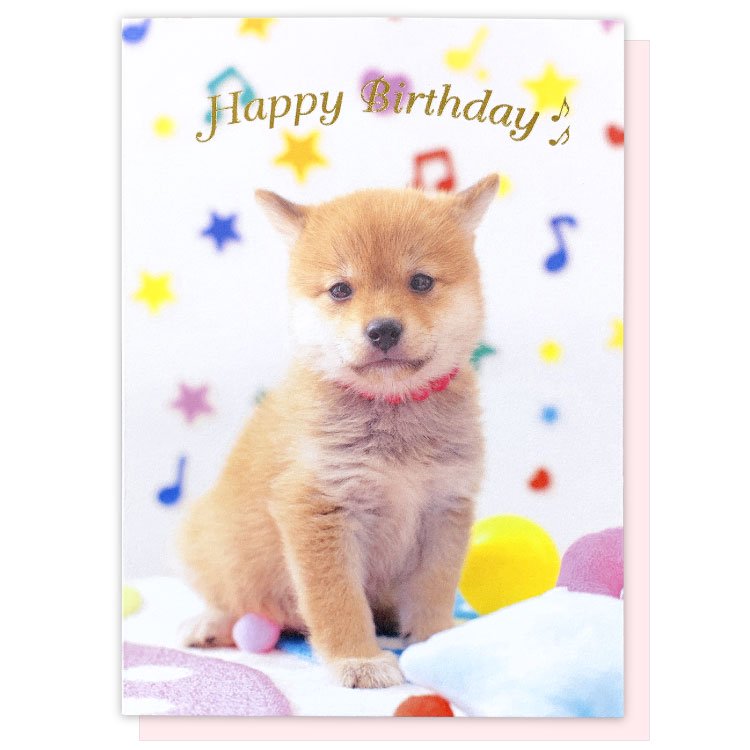 Shiba Inu Puppy Birthday Card with a Pink Envelope