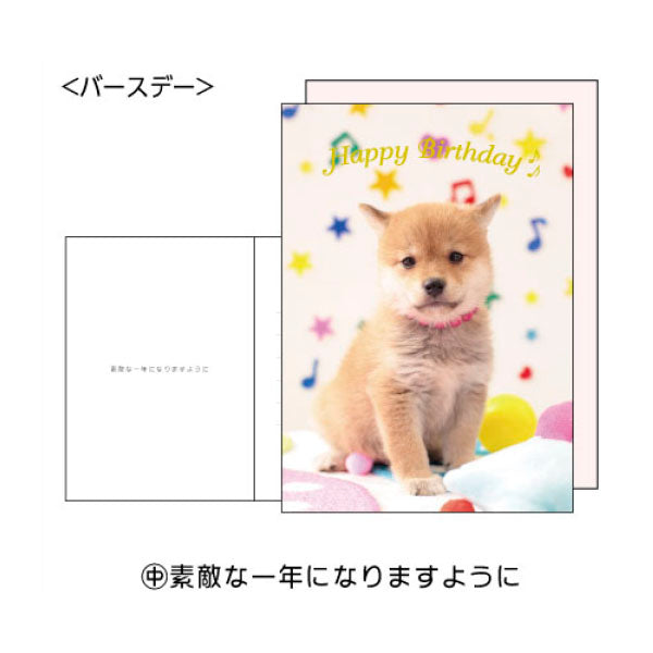 Shiba Inu Puppy Birthday Card with a Pink Envelope