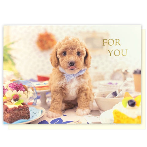 Toy Poodle Puppy FOR YOU Greeting Card with a Yellow Envelope for Any Occasion