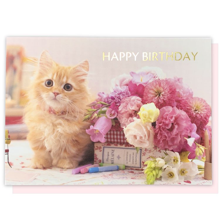 Cat Kitty Birthday Card with a Pink Envelope
