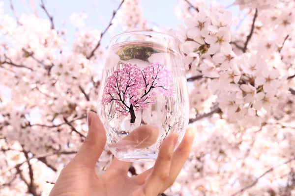 Japanese Sakura Cherry Blossom Color Changing Glass Cups (Pair), Magical Blooming Wine Glasses, Pour a Cold Drink and Color Changes from White to Pink