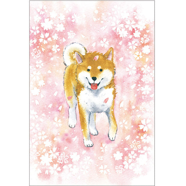 Shiba Inu Loves Sakura | Post Card with an Envelope