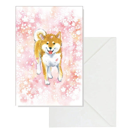 Shiba Inu Loves Sakura | Post Card with an Envelope