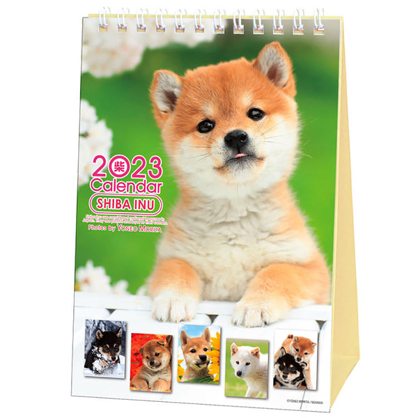 Shiba Inu Desktop Calendar 2023
