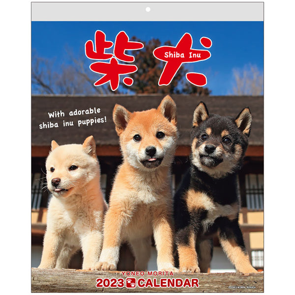 Shiba Inu Wall Calendar 2023